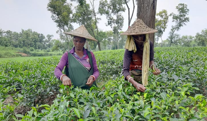 ‘নির্বাচন এলে প্রার্থীরা দিদি-মাসি বলে ভোট চায়, ভোটের পর পাওয়া যায় না’