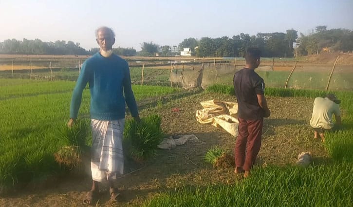 খাল দখল হওয়ায় কৃষিজমিতে যাচ্ছে না পানি, সংকটে চাষিরা