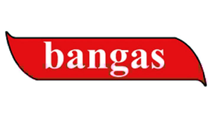 বঙ্গজের মুনাফা কমেছে ২০ শতাংশ