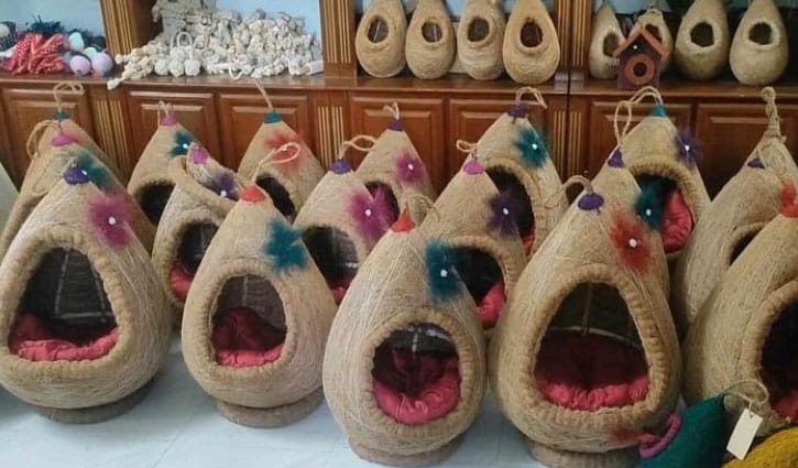 ইউরোপে যাচ্ছে বাগেরহাটের পাখির বাসা 