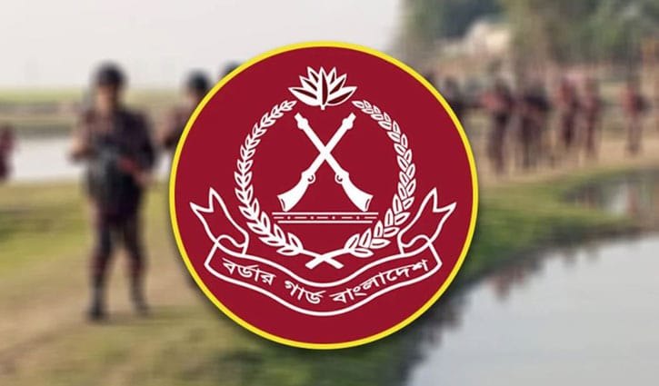 নির্বাচনে মাঠে থাকবে ৩৭ হাজারের বেশি বিজিবি 