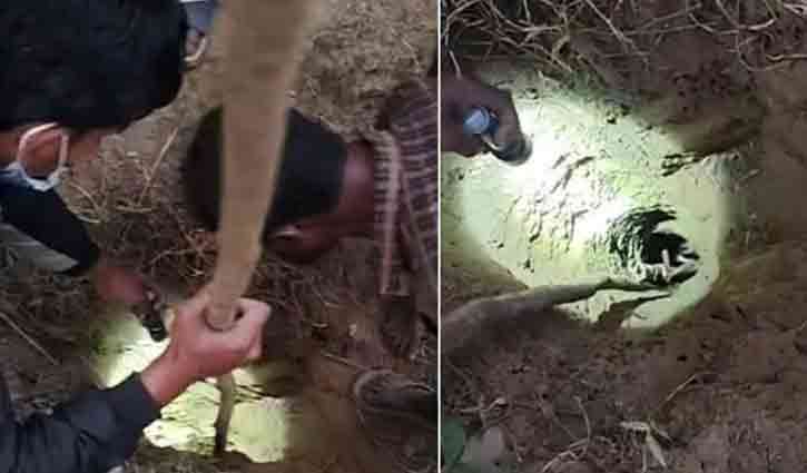 রাউজানে গর্তে পড়ে যাওয়া শিশু উদ্ধার