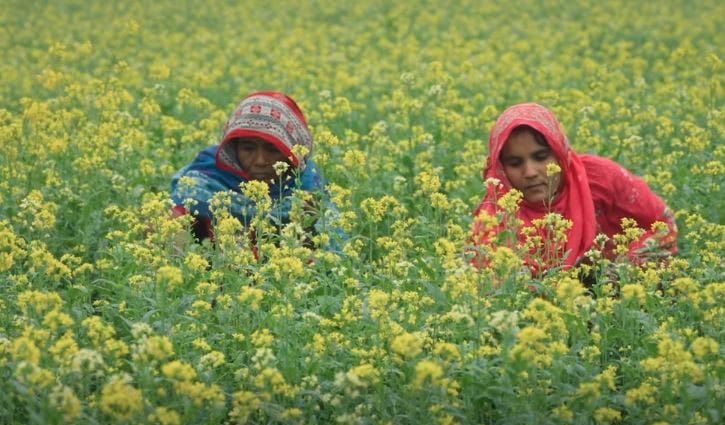 নারী ভোটারদের মধ্যে সচেতনতা বাড়াতে বিশেষ টিভিসি প্রকাশ