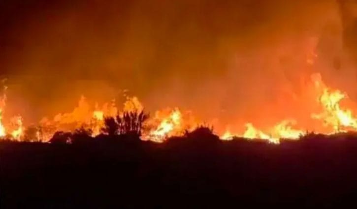 মাতারবাড়ি বিদ্যুৎকেন্দ্রে অগ্নিকাণ্ড: তদন্তে ৭ সদস্যের কমিটি