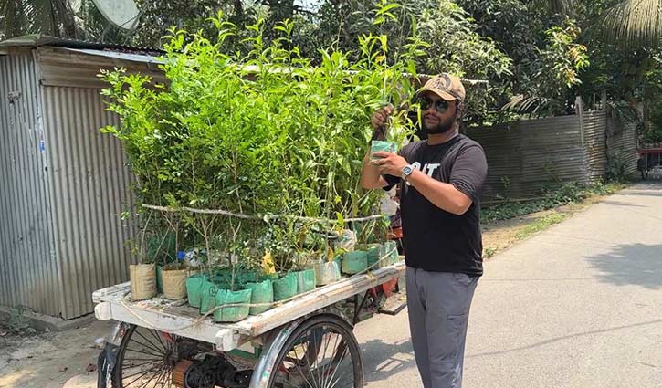 দাদির কবরের ফুলগাছ চুরির জবাবে অভিনব উদ্যোগ শামীমের