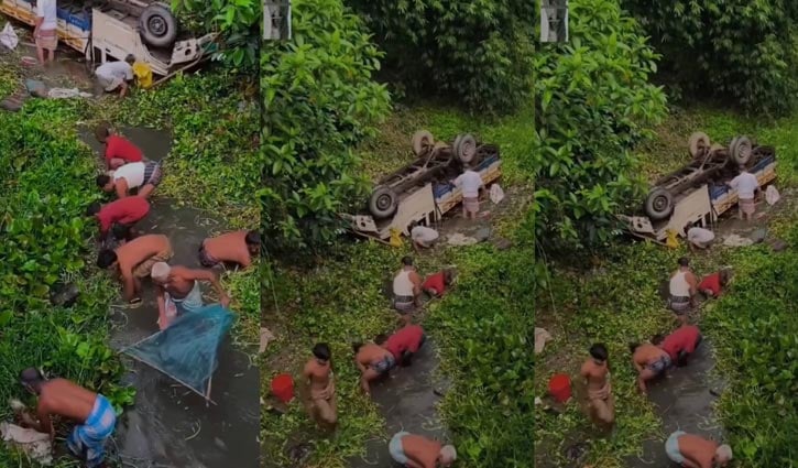 পিকআপ খালে উল্টে পড়তেই মাছ ধরা শুরু, নিজ চেষ্টায় বাঁচলেন চালক