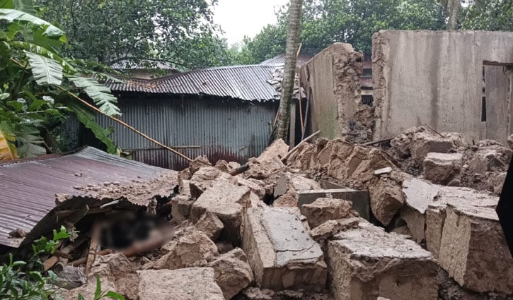 দেয়াল ধসে নিভে গেল বৃদ্ধ কৃষকের স্বপ্ন, গাভী-বাছুর হারিয়ে এখন পথে