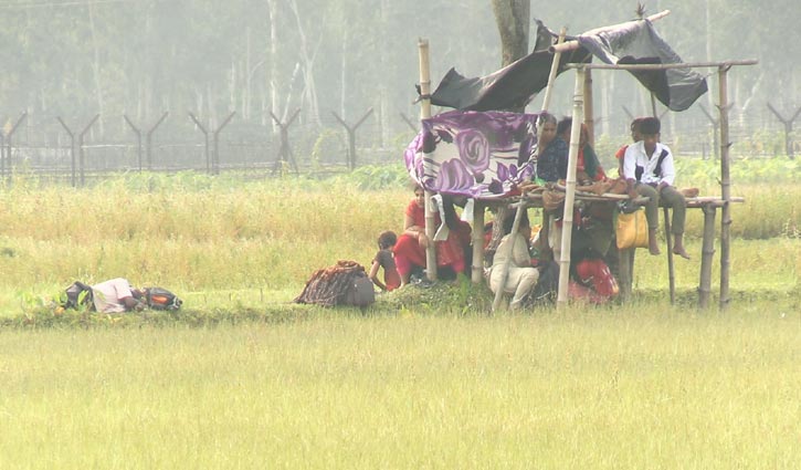 সীমান্তে পুশইনের জন্য আনা ৩৩ জনকে ফিরিয়ে নিল বিএসএফ