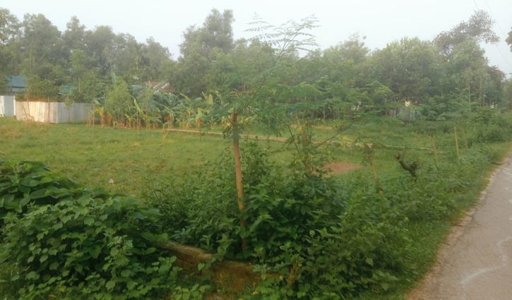 মায়ের জমি নিয়ে ৩ ভাইয়ের বিরোধ, থানায় অভিযোগ