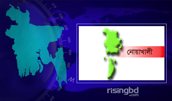নোয়াখালীতে ৩ পিস্তল উদ্ধার, যুবক গ্রেপ্তার
