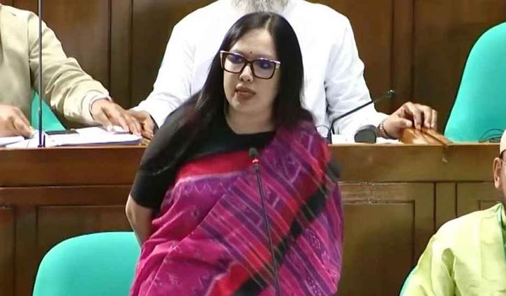 মফিজের সুইমিংপুলের স্বপ্নের মতোই অবাস্তব বাজেট: রুমিন ফারহানা