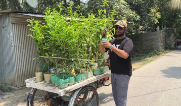 দাদির কবরের ফুলগাছ চুরির জবাবে অভিনব উদ্যোগ শামীমের