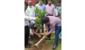 ‘আমি গেরামের ছেলে, কোদাল দেন’ গাছ লাগিয়ে বার্তা দিলেন ডিসি