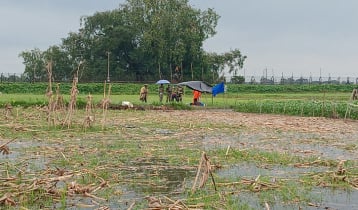 কুড়িগ্রাম সীমান্তে পুশইনের চেষ্টা, সরিয়ে নেওয়া হলো দুই শিশুসহ বাবা-মাকে