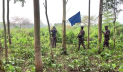 শেরপুর সীমান্তে পুশইন রুখে দিলো বিজিবি