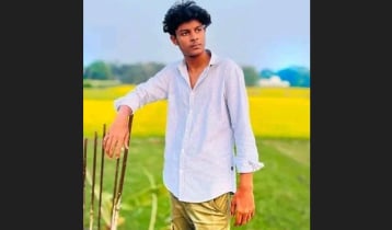 পতাকা টানাতে গিয়ে বিদ্যুৎস্পৃষ্টে ব্রাজিল সমর্থকের মৃত্যু