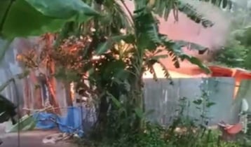 অভিযুক্তের বাড়িতে লাগানো আগুনে দগ্ধ ৩ জনের মৃত্যু