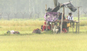 সীমান্তে পুশইনের জন্য আনা ৩৩ জনকে ফিরিয়ে নিল বিএসএফ