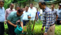 গ্রিন চট্টগ্রাম গড়তে ১০ লাখ গাছ লাগানো হচ্ছে: মেয়র