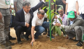 চকরিয়ায় ২৫ কোটি বৃক্ষরোপণ কর্মসূচির উদ্বোধন করলেন প্রধানমন্ত্রী