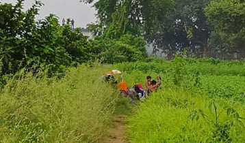 কুষ্টিয়া সীমান্তে ১২ জনকে পুশ-ইনের চেষ্টা, বিজিবির বাধা 