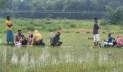 ৩০ ঘণ্টা ধরে শূন্যরেখায় ১০ জন, রোদ-বৃষ্টিতে মানবেতর জীবন