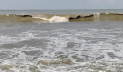 উত্তাল বঙ্গোপসাগর, চার বন্দরে ৩ নম্বর সতর্ক সংকেত