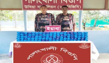 কক্সবাজারে বিজিবির অভিযানে ৬ লাখ ইয়াবা উদ্ধার, গ্রেপ্তার ২