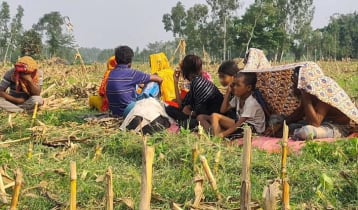 দুই দিন পর সীমান্ত থেকে ১১ জনকে ভারতে নিলো বিএসএফ