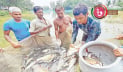 চালু হচ্ছে মৎস্য বিমা