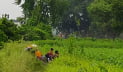 তিনদিন ধরে সীমান্তের শূন্যরেখায় ১২ জন