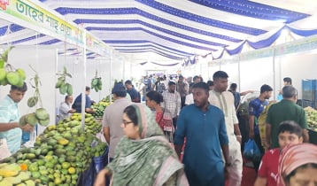 খামার বাড়িতে ফলের ঘ্রাণে জিভে জল, স্বাদের খোঁজে ক্রেতার ভিড়