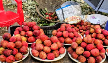 ঠাকুরগাঁওয়ে ব্যতিক্রমী ‘বাটির লিচুর’ বাজার