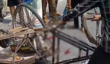 গোপালগঞ্জে বাসের ধাক্কায় ভ্যানচালক নিহত