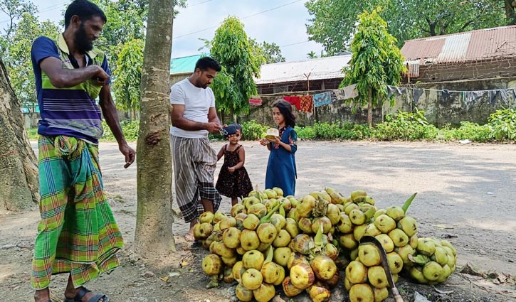 দাবদাহে বেড়েছে তালের শাঁসের চাহিদা