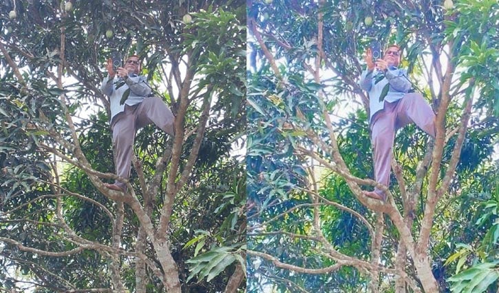গাছে উঠে অনলাইনে হাজিরা দিলেন প্রধান শিক্ষক