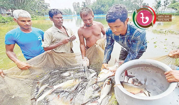 চালু হচ্ছে মৎস্য বিমা