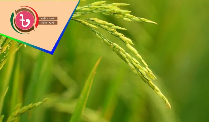 কৃষি খাতে বরাদ্দ  ৪৩ হাজার ৩৩৫ কোটি টাকা