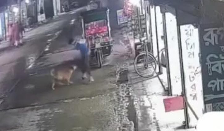 কিশোরগঞ্জে কুকুরের আক্রমণে আহত ৫০