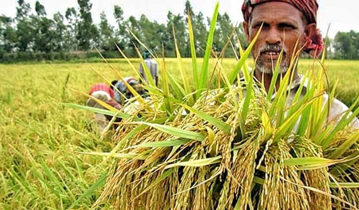 ৬ মাসে কৃষিঋণ বিতরণ ২১ হাজার কোটি টাকা 