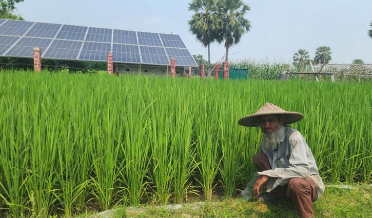 নড়াইলে সূর্যের আলোয় চলছে সেচ পাম্প
