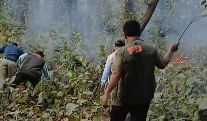 বার বার আগুনে পুড়ছে ভাওয়াল বন, হুমকিতে জীববৈচিত্র্য