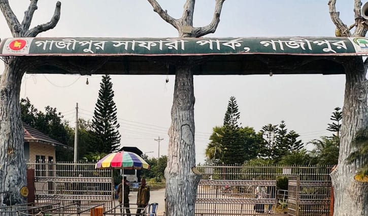 মঙ্গলবারেও খোলা থাকছে সাফারি পার্ক, বাড়তি আকর্ষণ নতুন তিন সিংহ