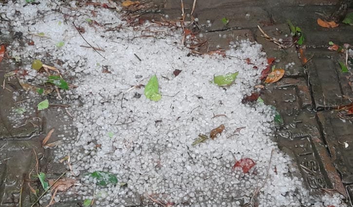 নাটোরে শিলাবৃষ্টি, ফসল ক্ষতির শঙ্কা