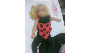 ঈদে বাড়ি ফেরার পথে দুর্ঘটনায় আহত শিশুর চিকিৎসার দায়িত্ব নিলেন প্রধানমন্ত্রী