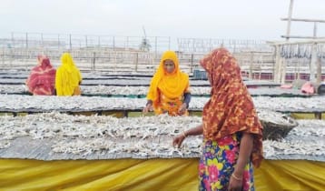 কাজ হারানোর শঙ্কায় কক্সবাজারের শুঁটকি মহালের নারী শ্রমিকরা