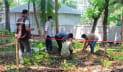 নড়াইলে দাফনের ৭ মাস পর পার্ক ব্যবস্থাপকের মরদেহ উত্তোলন
