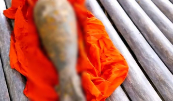 বুড়িমারী সীমান্তে মর্টার শেল সদৃশ বস্তু উদ্ধার