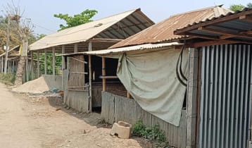 চাটমোহরে ভূমিহীন ব্যক্তির বন্দোবস্ত পাওয়া জমি দখলের অভিযোগ