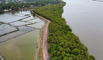 দুর্যোগ মোকাবিলায় উপকূলীয় এলাকায় ম্যানগ্রোভ নার্সারি